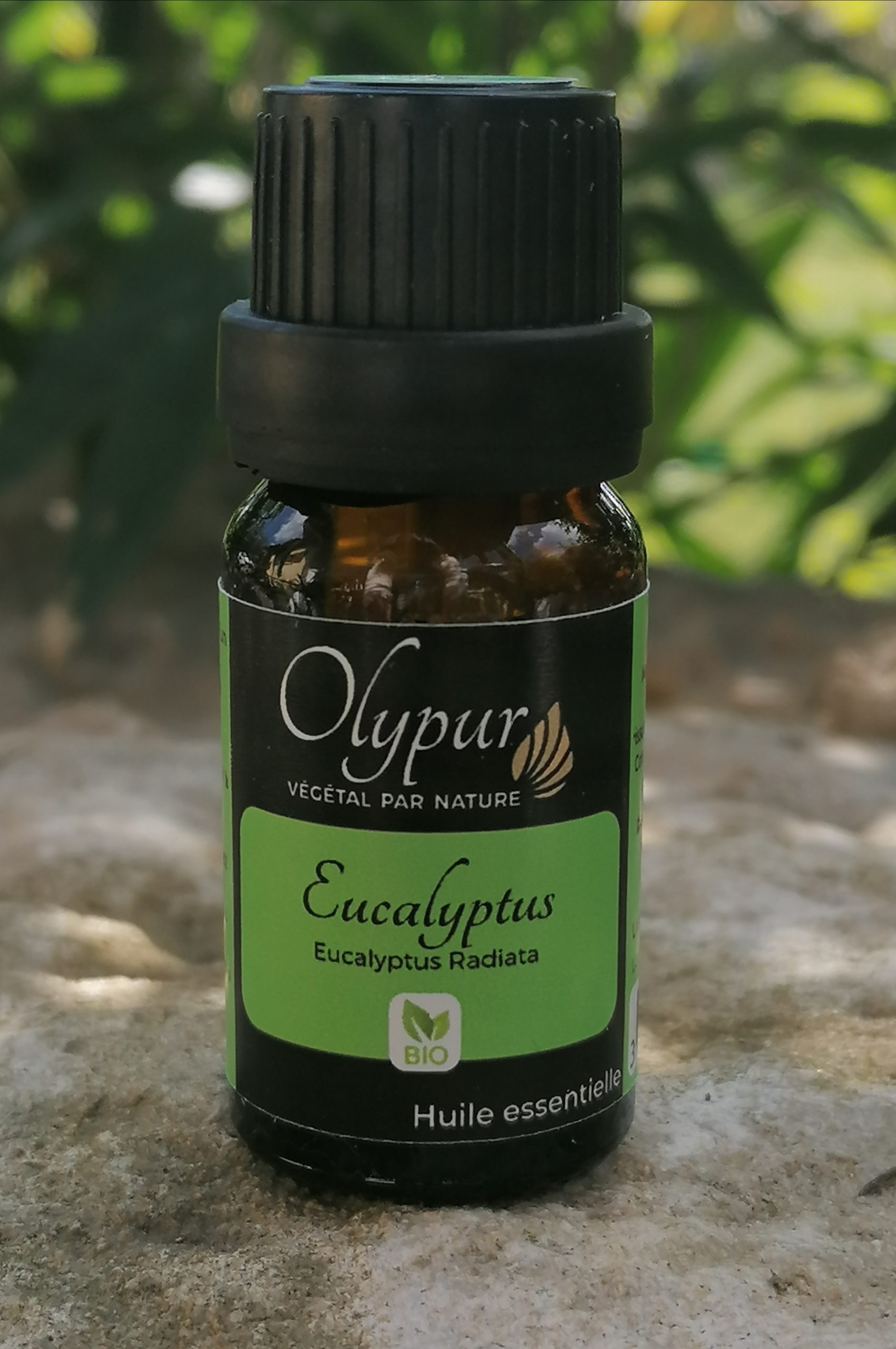 Olypur  Huile essentielle eucalyptus radié bio - Propriétés et utilisation