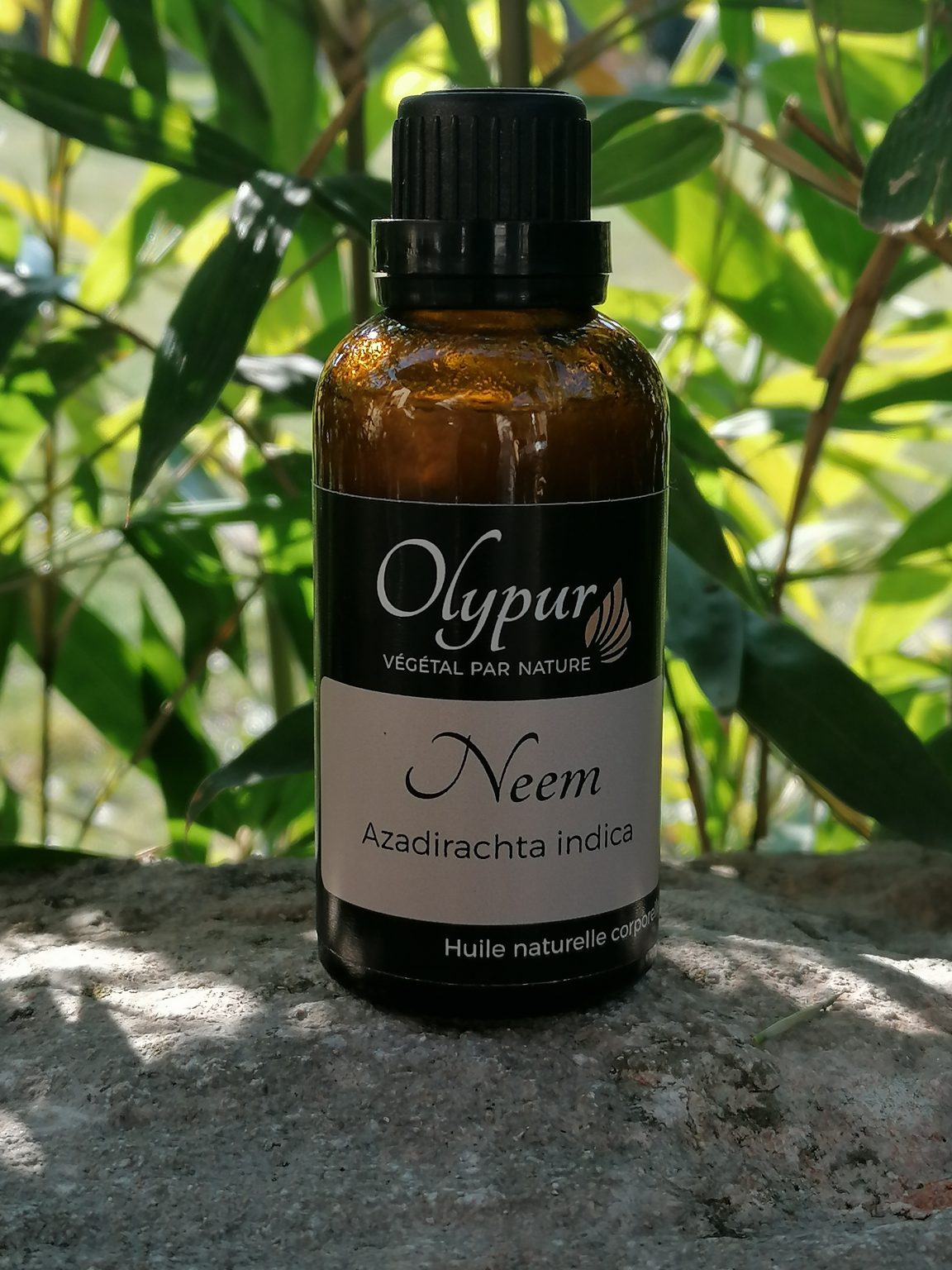 Olypur | Huile végétale de neem pure et naturelle - Utilisations et ...