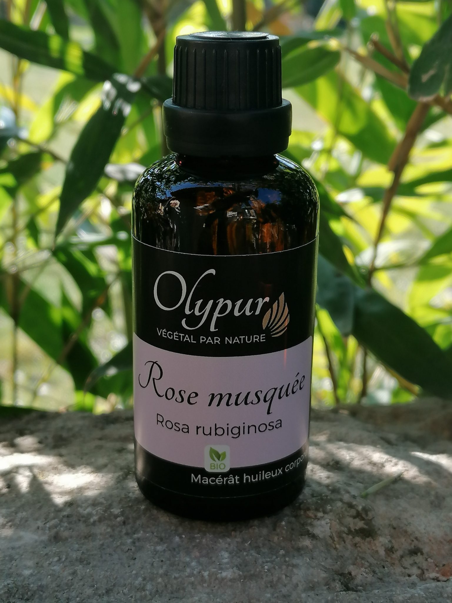 Olypur | Macérât huileux de rose musquee bio - Utilisations et bienfaits