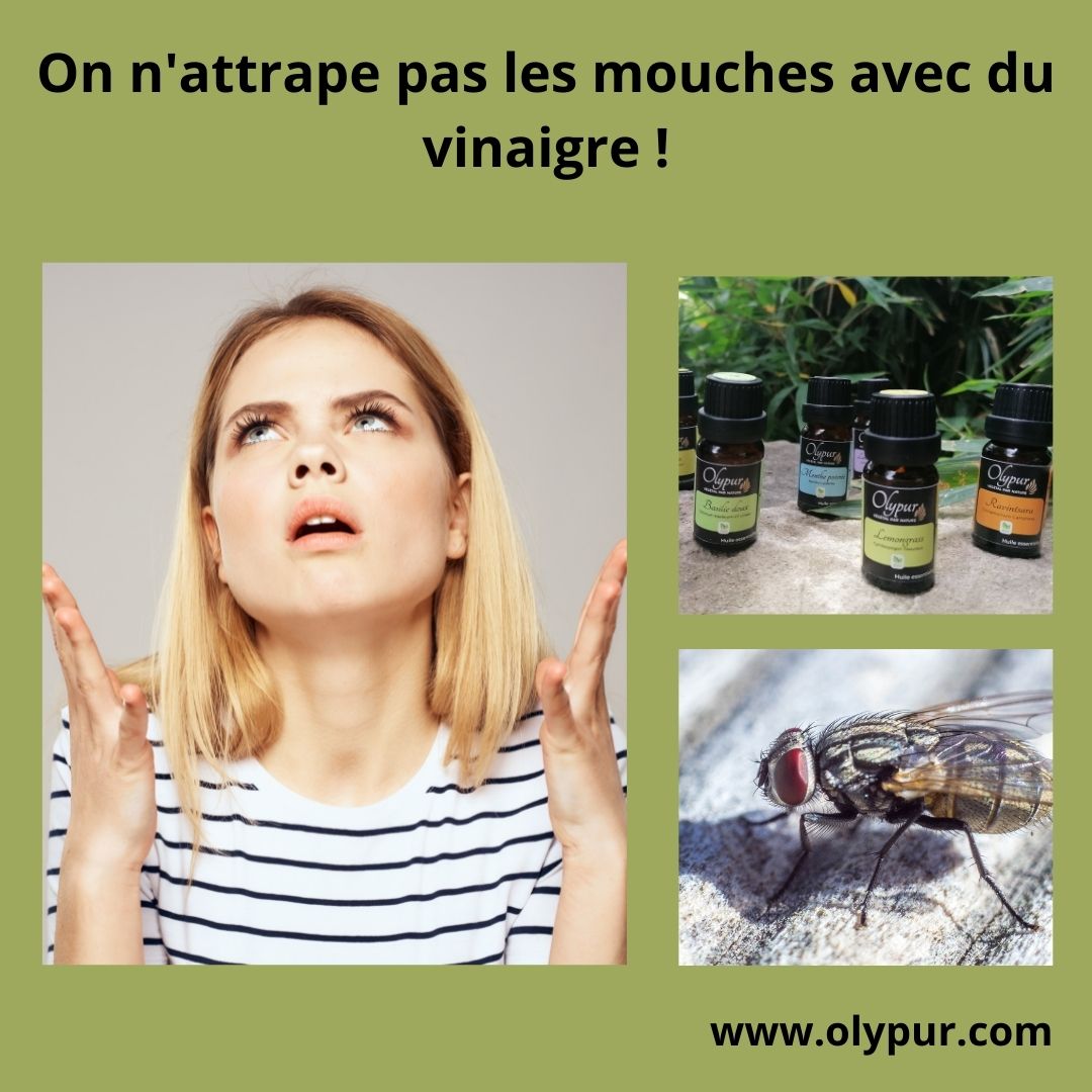 Ne prenez pas la mouche… Optez pour les huiles essentielles ! Olypur — free download